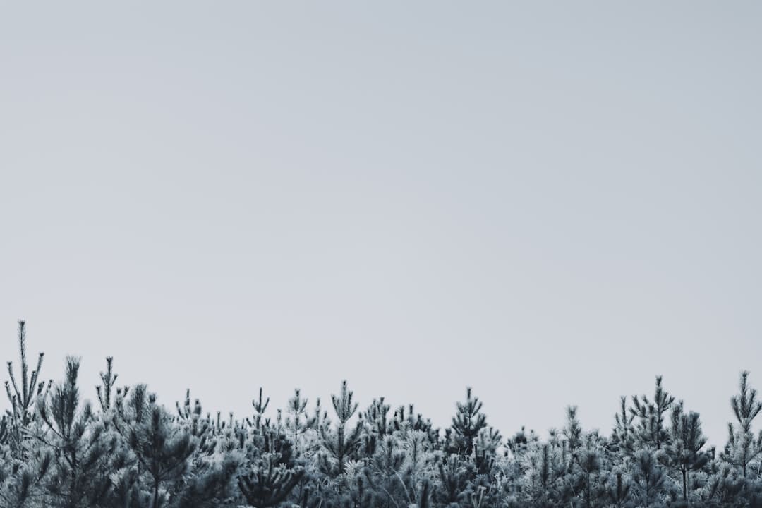 https://img3.utuku.imgcdc.com/540x0/news/20250808/47406bf4-d718-4d88-bd6c-9b091a745f95.jpg